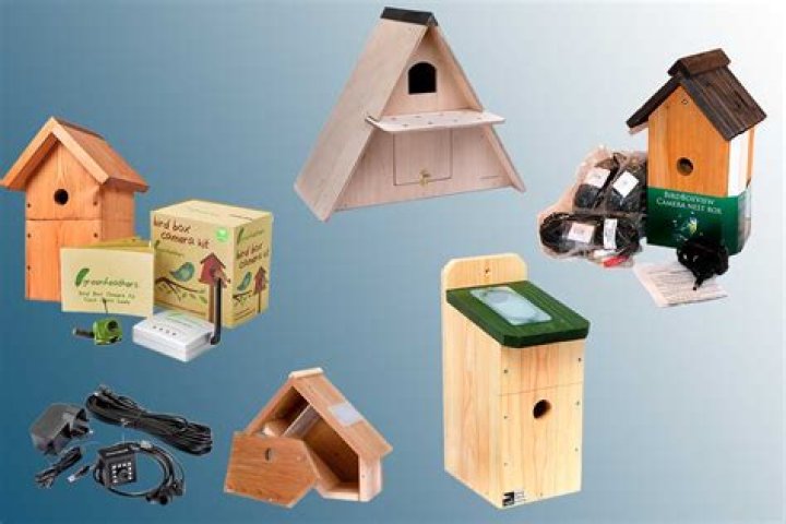Does it matter what colour a bird box is?